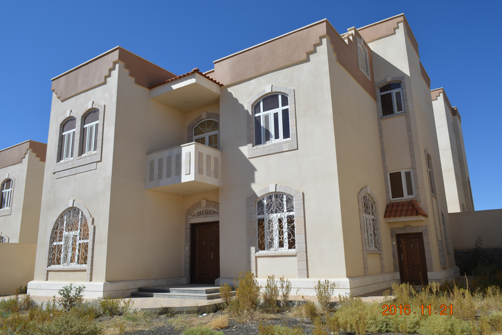 تضامن سيتي 1